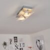 LIESTAL Ceiling Light LED matt nickel, 2-light sources