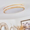 ZURZACH Ceiling Light LED Ecru, white, 1-light source