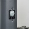 CASERTA path light anthracite, 1-light source, Motion sensor