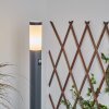 SESSA path light anthracite, 1-light source, Motion sensor