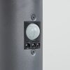 SESSA path light anthracite, 1-light source, Motion sensor