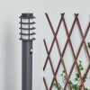 TUNES path light anthracite, 1-light source, Motion sensor