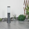 SESSA path light anthracite, 1-light source, Motion sensor