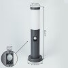 SESSA path light anthracite, 1-light source, Motion sensor