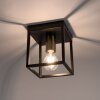 Leuchten-Direkt FABIO Ceiling Light brass, black, 1-light source