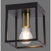 Leuchten-Direkt FABIO Ceiling Light brass, black, 1-light source