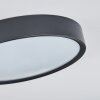 NEXO Ceiling Light LED black, 1-light source