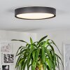 NEXO Ceiling Light LED black, 1-light source