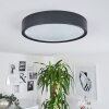 NEXO Ceiling Light LED black, 1-light source