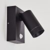 HAKAMKEN Outdoor Wall Light black, 1-light source, Motion sensor