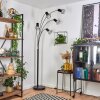 BARDHAMAN Floor Lamp black, 5-light sources