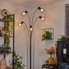 BARDHAMAN Floor Lamp black, 5-light sources