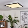 GAILINGEN Ceiling Light LED white, 1-light source