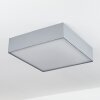 TISE Ceiling Light grey, white, 3-light sources