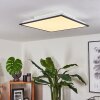 SALMI Ceiling Light LED black, white, 2-light sources