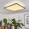 SALMI Ceiling Light LED black, white, 2-light sources
