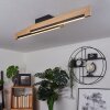 INZINO Ceiling Light LED Ecru, black, 2-light sources