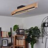 INZINO Ceiling Light LED Ecru, black, 2-light sources