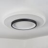 ANDELFINGEN Ceiling Light LED white, 1-light source, Remote control