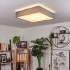 TISE Ceiling Light LED white, 1-light source