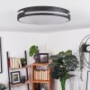SEEWEN Ceiling Light LED black, white, 1-light source, Remote control
