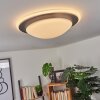WIL Ceiling Light LED anthracite, white, 1-light source