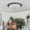 WIL Ceiling Light LED anthracite, white, 1-light source