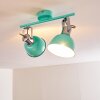 DOMPIERRE Ceiling light green, white, 2-light sources