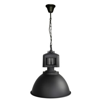 Brilliant BLAKE Pendant Light black, 1-light source