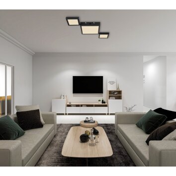 Globo BURKHARD Ceiling Light LED black, 1-light source