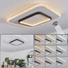 ANDELFINGEN Ceiling Light LED white, 1-light source, Remote control