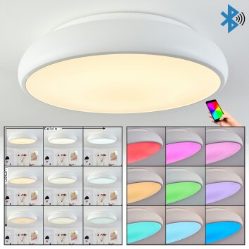 RHONE Ceiling Light LED white, 1-light source, Colour changer