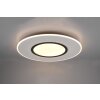 Trio-Leuchten VERUS Ceiling Light LED matt nickel, 1-light source, Remote control