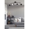 Fischer-Honsel WALES Ceiling Light black, 4-light sources