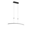 Fischer-Honsel METIS Pendant Light LED black, 1-light source