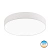 SCHÖNER-WOHNEN-Kollektion PINA Ceiling Light white, 1-light source, Remote control