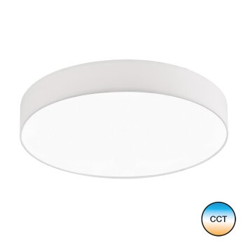 SCHÖNER-WOHNEN-Kollektion PINA Ceiling Light white, 1-light source, Remote control
