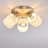 Alsen Ceiling Light matt nickel, 3-light sources
