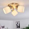 Alsen Ceiling Light matt nickel, 3-light sources