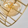 GRUNNFJORD Ceiling Light gold, Ecru, 3-light sources