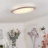 SAPIORIS Ceiling Light LED silver, 1-light source