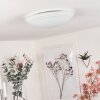 WORBEN Ceiling Light LED white, 1-light source