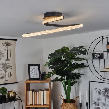 RHEINFELDEN Ceiling Light LED black, 1-light source