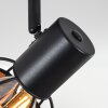 TARASP Ceiling Light black, 1-light source