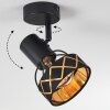 TARASP Ceiling Light black, 1-light source