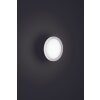 LCD GRASBRUNN outdoor ceiling light LED black, 1-light source