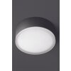LCD GRASBRUNN outdoor ceiling light LED black, 1-light source