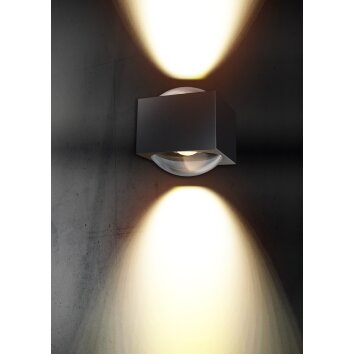 LCD FISCHECK Outdoor Wall Light LED black, 2-light sources