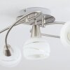 WARGA Ceiling Light matt nickel, 5-light sources