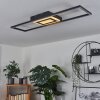 TALETA Ceiling Light LED black, 1-light source
